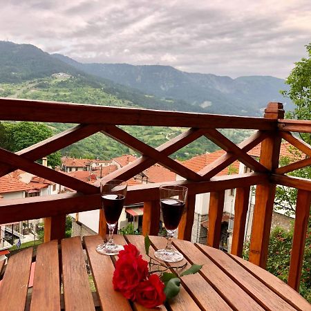 Apostolos Hotel Metsovo Luaran gambar
