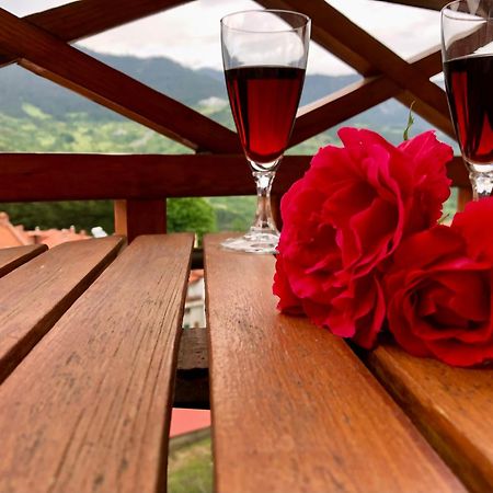 Apostolos Hotel Metsovo Luaran gambar