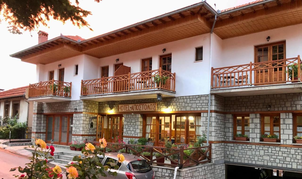 Apostolos Hotel Metsovo Luaran gambar