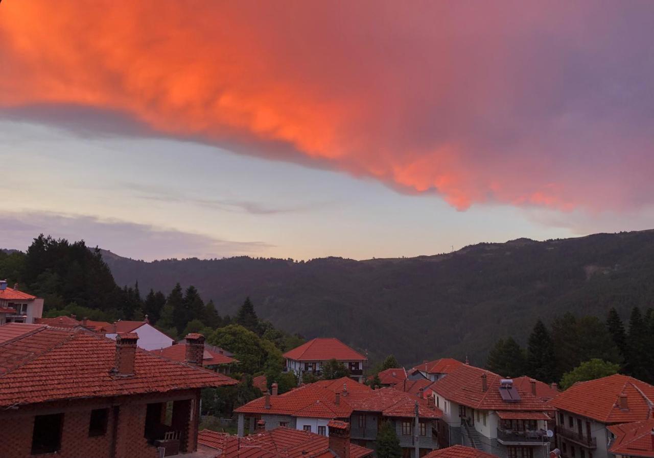 Apostolos Hotel Metsovo Luaran gambar