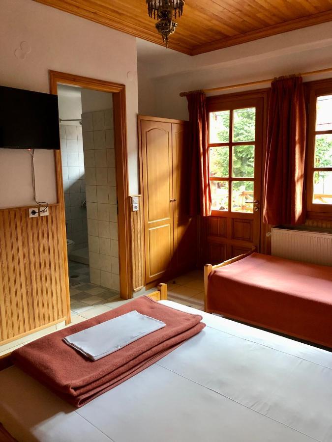 Apostolos Hotel Metsovo Luaran gambar