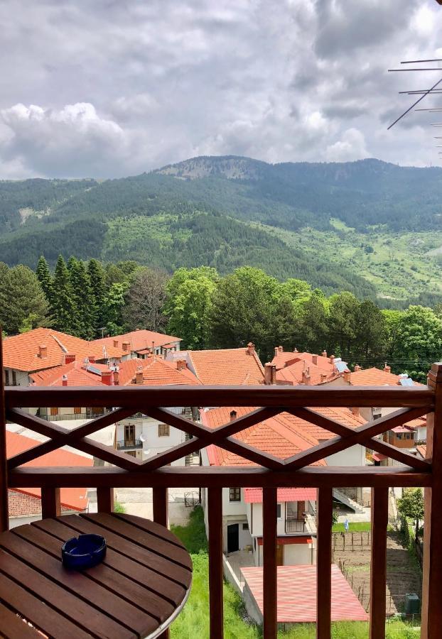 Apostolos Hotel Metsovo Luaran gambar