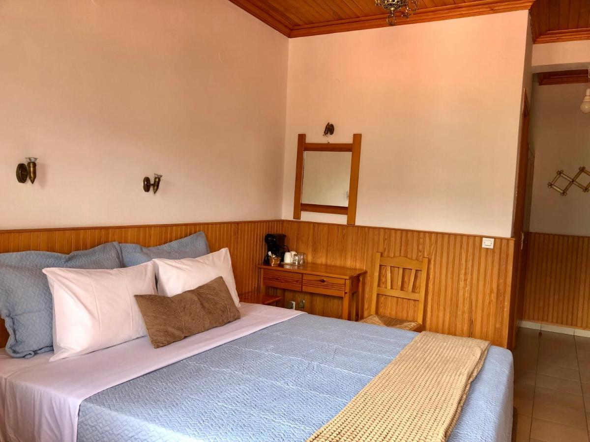 Apostolos Hotel Metsovo Luaran gambar
