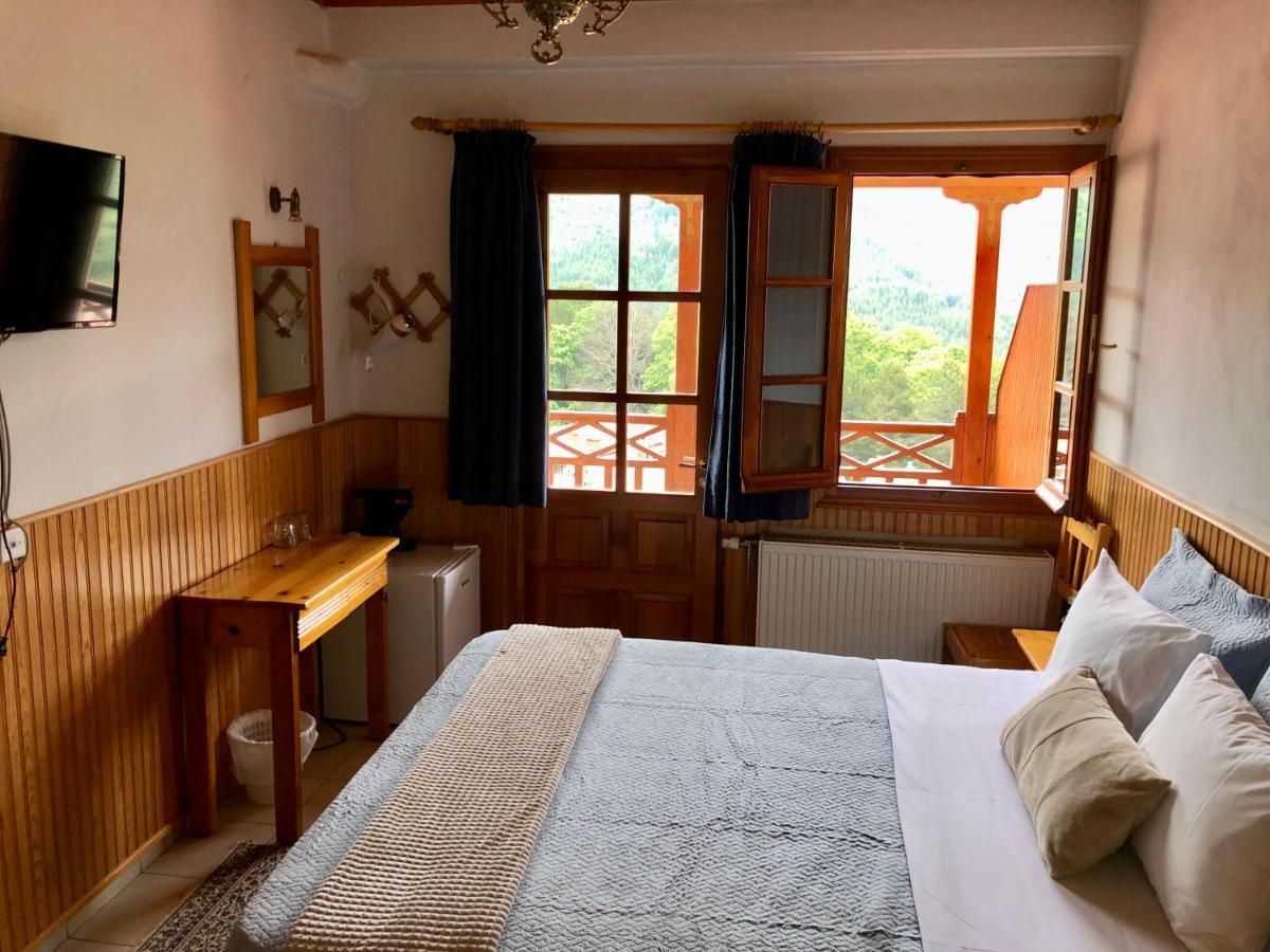 Apostolos Hotel Metsovo Luaran gambar
