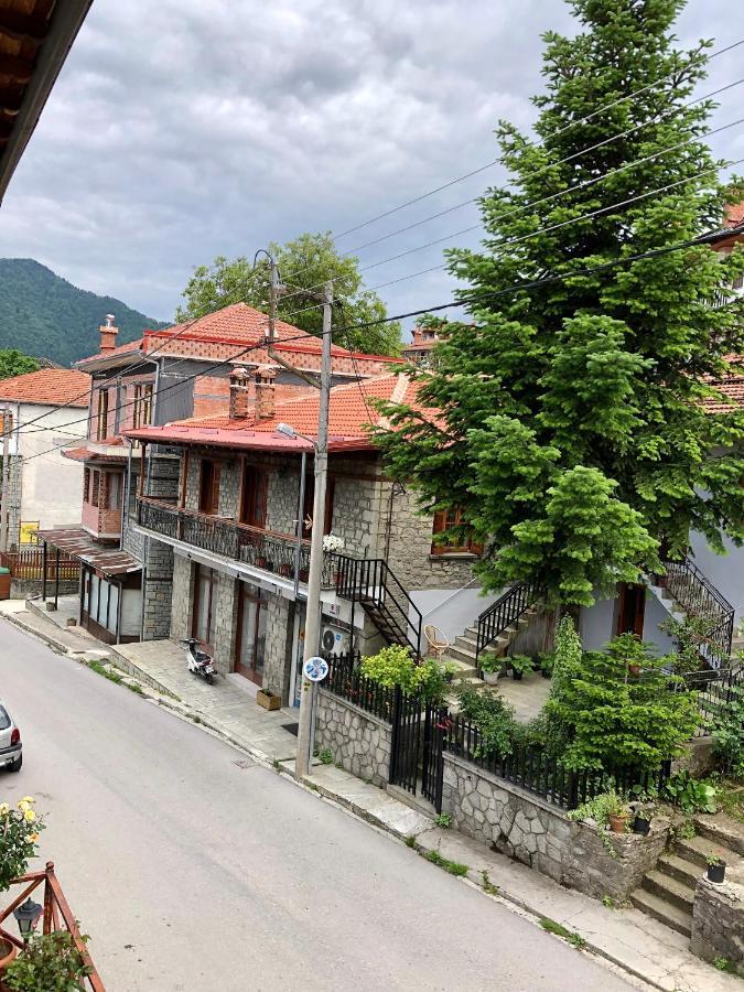 Apostolos Hotel Metsovo Luaran gambar