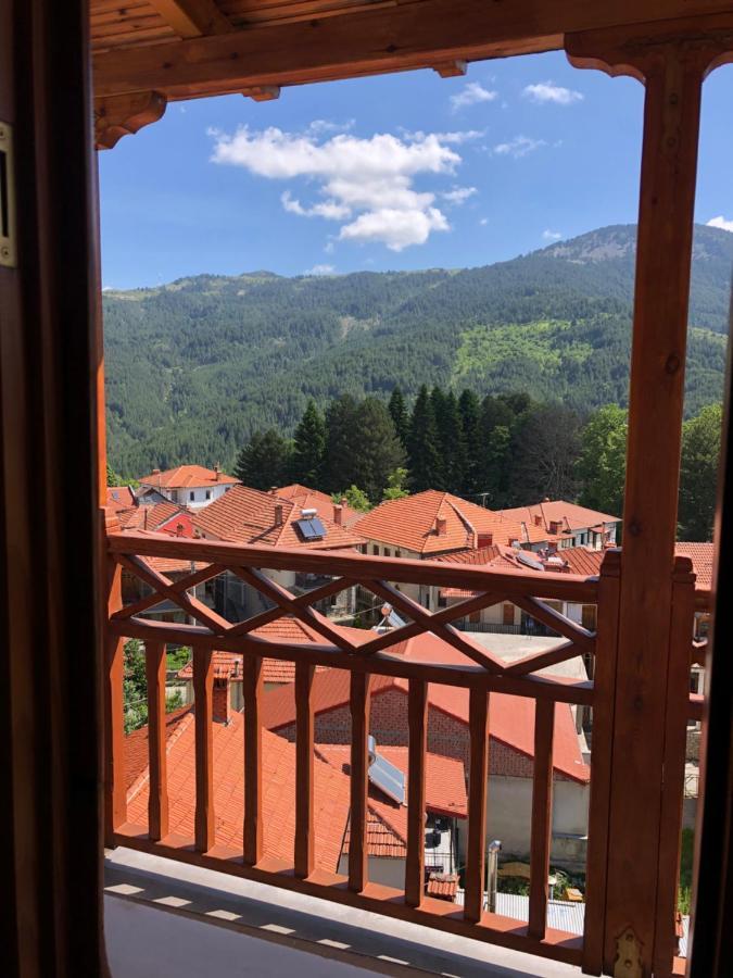 Apostolos Hotel Metsovo Luaran gambar