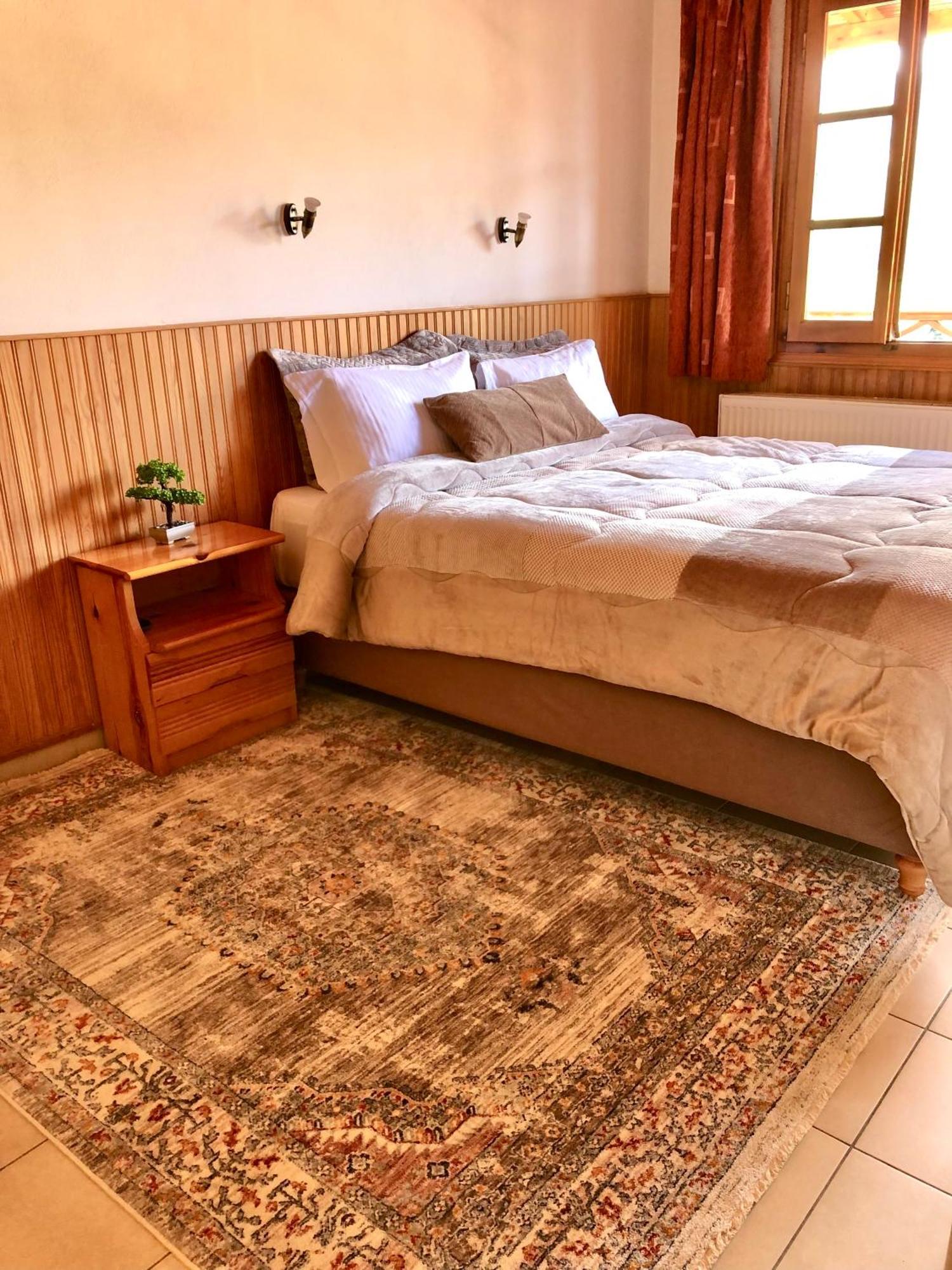 Apostolos Hotel Metsovo Luaran gambar